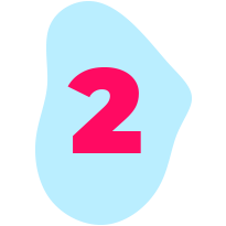 Survision Booster Process